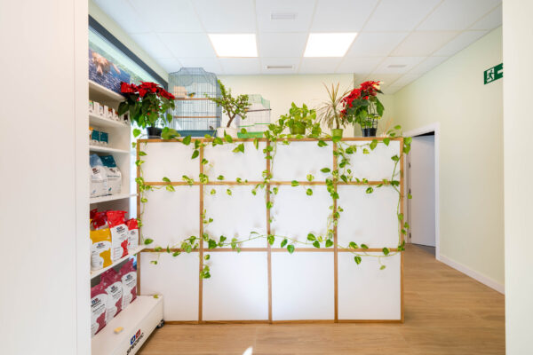 clinica-veterinaria-vega-de-aca-masstudio-arquitectura-05